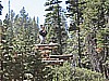 068. I come around the corner to see Larry with his perch..jpg
