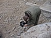 082. Thomas shoots Larry going up Winch Hill #4..jpg
