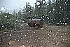 101. Big flakes..jpg