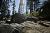 090. Dusty hittin' it..jpg