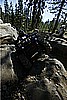 110. Front end coming up..jpg