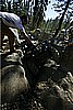 111. Dusty lends a hand..jpg
