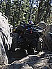 131. Go man go..jpg