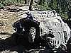 133. Dusty tries to push his weight forward..jpg