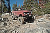 162. Derrick spots and Old Scout..jpg