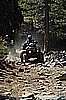 165. Here they come..jpg