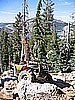 42. Ken's quad sits...as Mr. Bill gets turned around..jpg