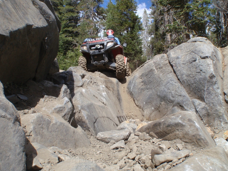 026. Go Scott..jpg