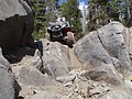 026. Go Scott..jpg