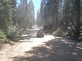 15. Mr. Bill screaming up the road from Washington..jpg