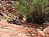 083. We cross a creek..the bicyclist in the photo fell in the mud when we came up..jpg