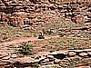 091. Haulin' ass now..jpg