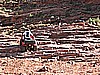 229. Larry going back up the last stair step..jpg