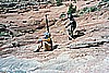 068. The secret of Larry's success....Dusty and Jack, the human winches..jpg