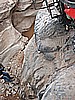 087. That's a long way down..jpg