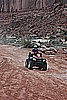 084. Dusty..jpg