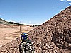 025. While Nick drops a lincoln log, Loppy checks for movement...no pun intended..jpg