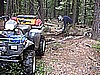 051. So I attach Terry's strap to a 'tree'..jpg
