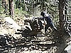 097. Fully documented..jpg