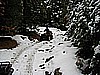 118. Terry coming up the trail.jpg