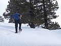 39. Put one foot in front of the other..jpg