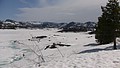 07. Loon Lake..jpg