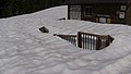 23. Deck is damaged..jpg