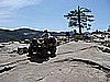 193. How's it going DEVASTATOR!.jpg