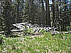 06. The old house at Richardson, finally fell..jpg