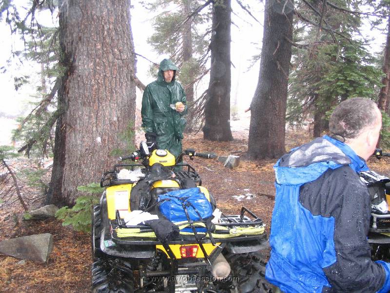 06. Scott stands next to HIS tree...we each had our own..jpg