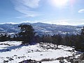 22. Buck and Rockbound weren't frozen..jpg