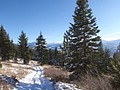 28. Just our tracks!.jpg