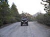 39. Lizard as come across Loon Dam to camp..jpg