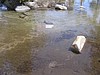 59. Just tossed in the creek..jpg