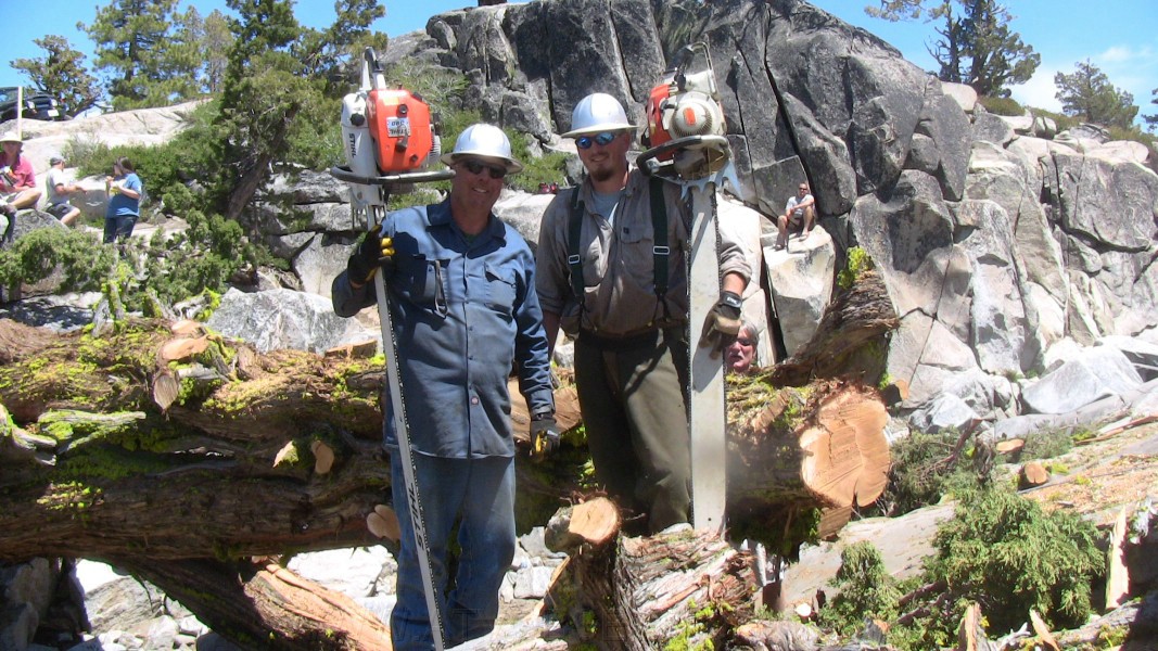 tree065.jpg