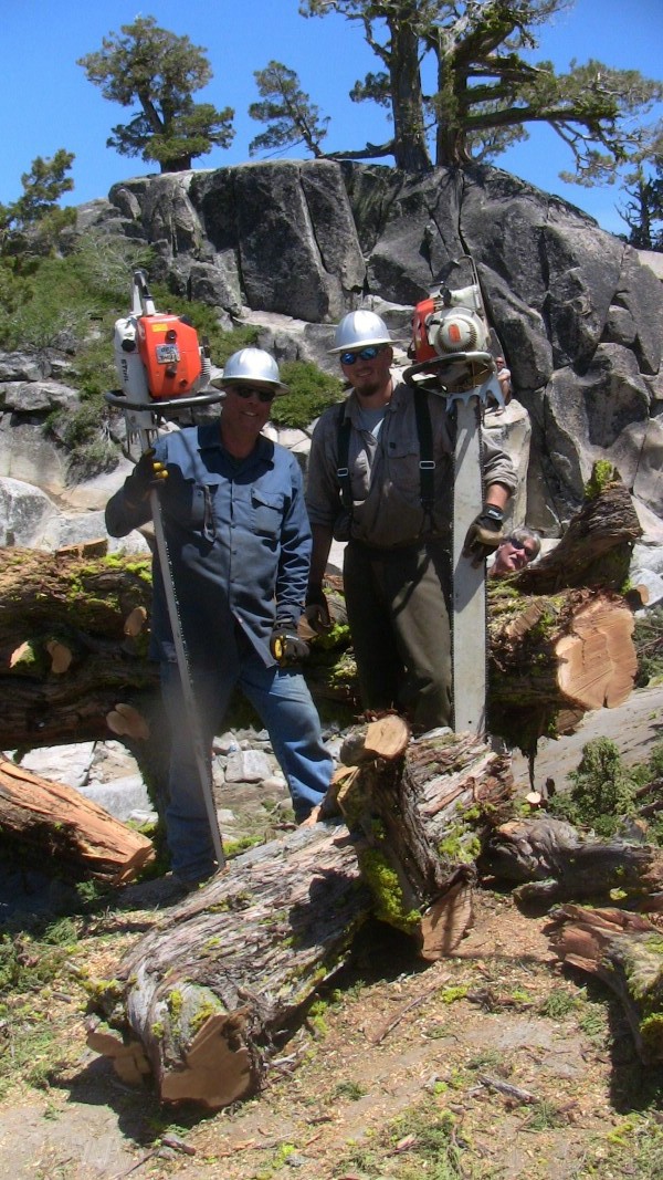 tree066.jpg