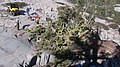tree006.jpg