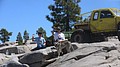 tree085.jpg