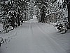 10. Didn't take long for these tracks to vanish..jpg