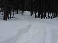 08. Makin' tracks..literally..jpg