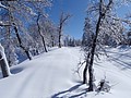 08. Snow was perfect..jpg