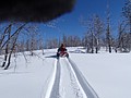 14. Pristine..jpg