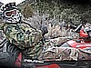 194. So is Cajungal..jpg