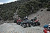 195. Wagon Ho!.jpg