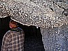 033. They almost looked like barnacles..jpg
