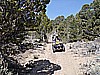 044. Wagon train..jpg