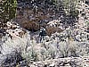 058. Scott was the resident mine inspector..jpg