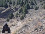 29. More horses in the canyon..jpg