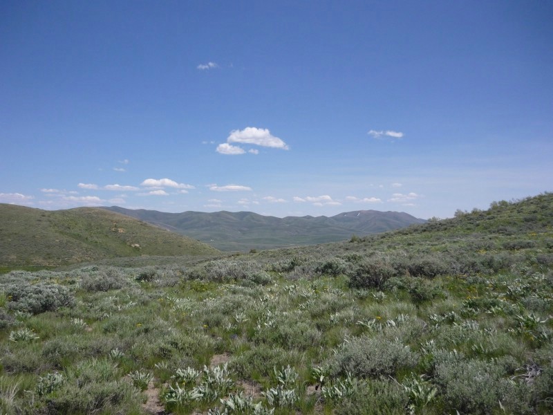 19.Green Mountain Range.jpg