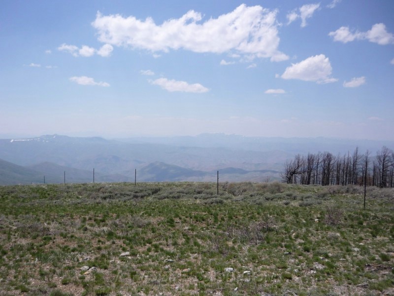 48.Top of Deer Mountain towards Nevada.jpg